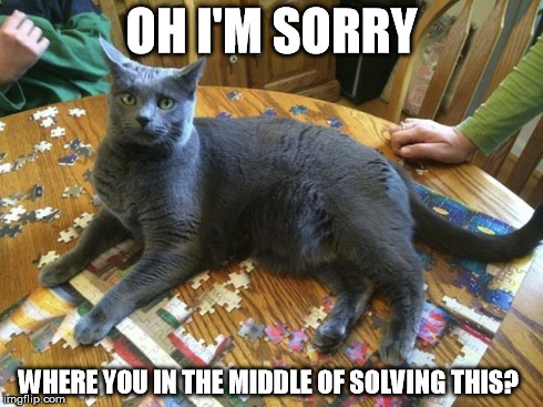 OH I'M SORRY WHERE YOU IN THE MIDDLE OF SOLVING THIS? | image tagged in cats,puzzle | made w/ Imgflip meme maker