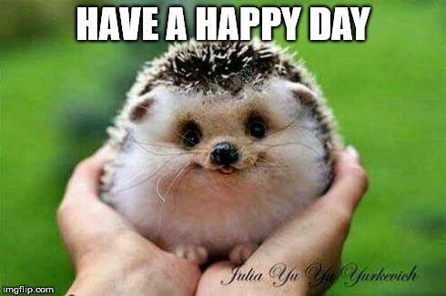 Have a happy day | HAVE A HAPPY DAY | image tagged in good wishes,happy day | made w/ Imgflip meme maker