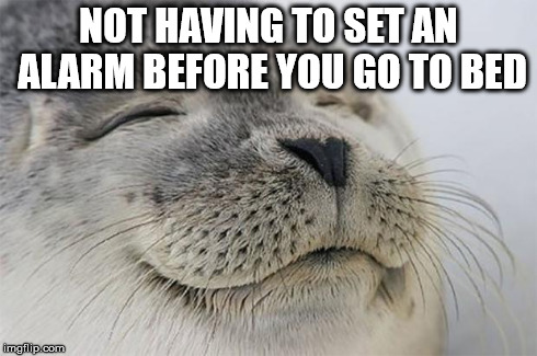 Satisfied Seal Meme | NOT HAVING TO SET AN ALARM BEFORE YOU GO TO BED | image tagged in memes,satisfied seal | made w/ Imgflip meme maker
