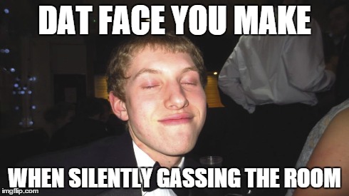 DAT FACE YOU MAKE WHEN SILENTLY GASSING THE ROOM | image tagged in hoyle,dat face,fart,farting | made w/ Imgflip meme maker