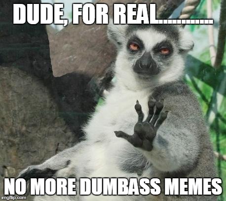 Stoner Lemur | DUDE, FOR REAL............ NO MORE DUMBASS MEMES | image tagged in memes,stoner lemur | made w/ Imgflip meme maker