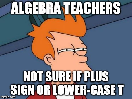 Futurama Fry | ALGEBRA TEACHERS NOT SURE IF PLUS SIGN OR LOWER-CASE T | image tagged in memes,futurama fry | made w/ Imgflip meme maker