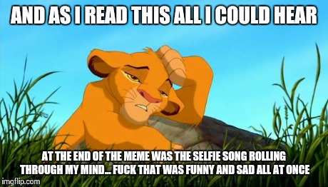 DIE PLEASE | AND AS I READ THIS ALL I COULD HEAR AT THE END OF THE MEME WAS THE SELFIE SONG ROLLING THROUGH MY MIND... F**K THAT WAS FUNNY AND SAD ALL AT | image tagged in die please | made w/ Imgflip meme maker
