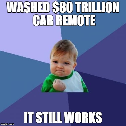 Success Kid Meme | WASHED $80 TRILLION CAR REMOTE IT STILL WORKS | image tagged in memes,success kid | made w/ Imgflip meme maker