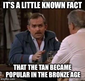 IT'S A LITTLE KNOWN FACT THAT THE TAN BECAME POPULAR IN THE BRONZE AGE | image tagged in AdviceAnimals | made w/ Imgflip meme maker