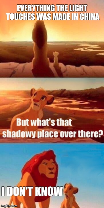 Simba Shadowy Place | EVERYTHING THE LIGHT TOUCHES WAS MADE IN CHINA I DON'T KNOW | image tagged in memes,simba shadowy place | made w/ Imgflip meme maker