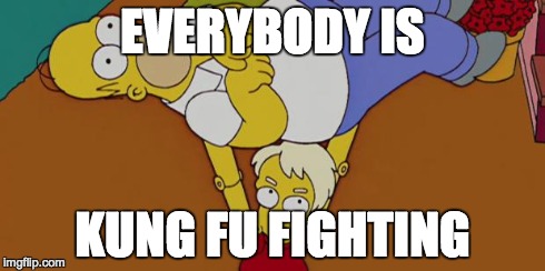Everybody Is Kung Fu Fighting | EVERYBODY IS KUNG FU FIGHTING | image tagged in everybody is kung fu fighting | made w/ Imgflip meme maker