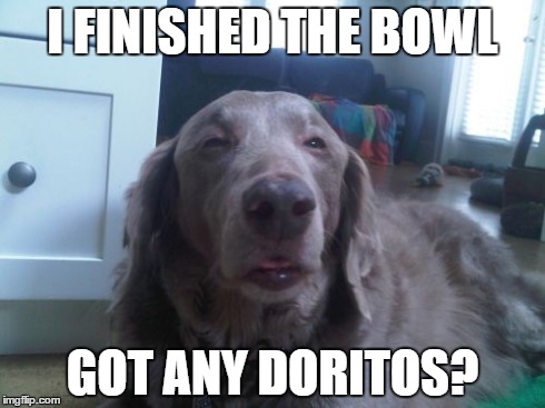 High Dog Meme | I FINISHED THE BOWL GOT ANY DORITOS? | image tagged in memes,high dog | made w/ Imgflip meme maker