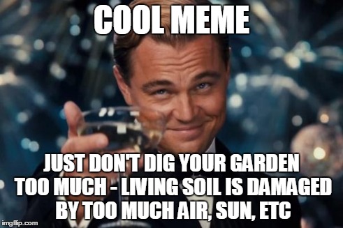Leonardo Dicaprio Cheers Meme | COOL MEME JUST DON'T DIG YOUR GARDEN TOO MUCH - LIVING SOIL IS DAMAGED BY TOO MUCH AIR, SUN, ETC | image tagged in memes,leonardo dicaprio cheers | made w/ Imgflip meme maker