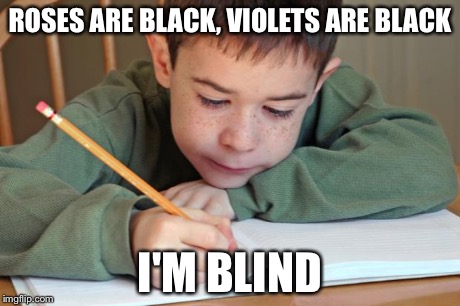 ROSES ARE BLACK, VIOLETS ARE BLACK I'M BLIND | image tagged in poem | made w/ Imgflip meme maker