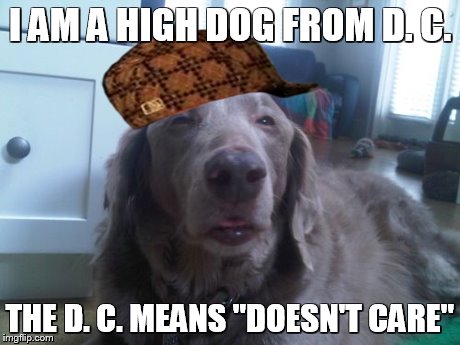 High Dog | I AM A HIGH DOG FROM D. C. THE D. C. MEANS "DOESN'T CARE" | image tagged in memes,high dog,scumbag | made w/ Imgflip meme maker