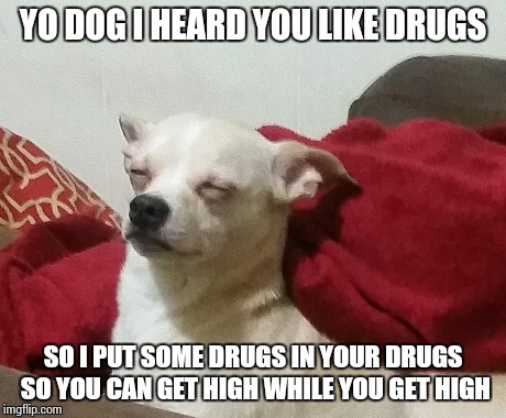 Say w0t M8.... I'm R3kt | YO DOG I HEARD YOU LIKE DRUGS SO I PUT SOME DRUGS IN YOUR DRUGS SO YOU CAN GET HIGH WHILE YOU GET HIGH | image tagged in dog,m8,rekt,r3kt,wot,chihuahua | made w/ Imgflip meme maker