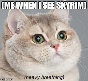 Heavy Breathing Cat | (ME WHEN I SEE SKYRIM) | image tagged in memes,heavy breathing cat | made w/ Imgflip meme maker