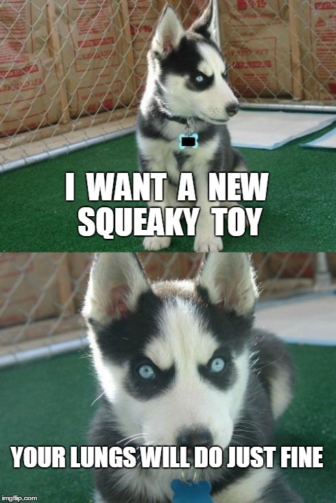 Insanity Puppy Meme | I  WANT  A  NEW SQUEAKY  TOY YOUR LUNGS WILL DO JUST FINE | image tagged in memes,insanity puppy | made w/ Imgflip meme maker