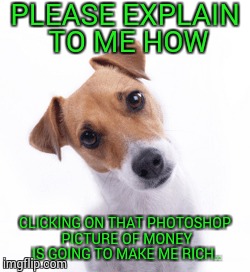 How | PLEASE EXPLAIN TO ME HOW CLICKING ON THAT PHOTOSHOP PICTURE OF MONEY IS GOING TO MAKE ME RICH.. | image tagged in dog,funny memes,money,how,humor,sarcasm | made w/ Imgflip meme maker