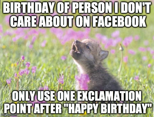 Baby Insanity Wolf Meme | BIRTHDAY OF PERSON I DON'T CARE ABOUT ON FACEBOOK ONLY USE ONE EXCLAMATION POINT AFTER "HAPPY BIRTHDAY" | image tagged in memes,baby insanity wolf | made w/ Imgflip meme maker