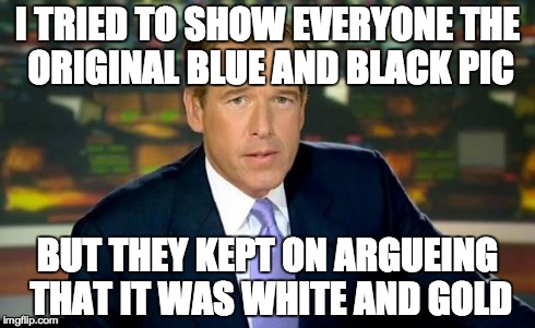 Brian Williams Was There Meme | I TRIED TO SHOW EVERYONE THE ORIGINAL BLUE AND BLACK PIC BUT THEY KEPT ON ARGUEING THAT IT WAS WHITE AND GOLD | image tagged in memes,brian williams was there | made w/ Imgflip meme maker
