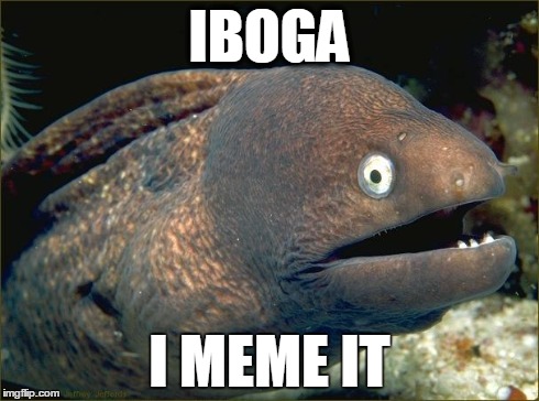 IBOGA I MEME IT | made w/ Imgflip meme maker