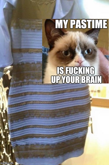 Blue gold dress | MY PASTIME IS F**KING UP YOUR BRAIN | image tagged in blue gold dress,grumpy cat | made w/ Imgflip meme maker