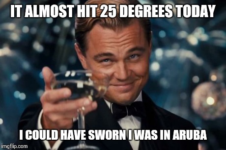 Leonardo Dicaprio Cheers Meme | IT ALMOST HIT 25 DEGREES TODAY I COULD HAVE SWORN I WAS IN ARUBA | image tagged in memes,leonardo dicaprio cheers | made w/ Imgflip meme maker