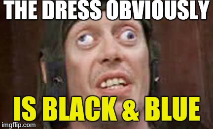 The Dress | THE DRESS OBVIOUSLY IS BLACK & BLUE | image tagged in the dress,dress,dress color,color,freak out | made w/ Imgflip meme maker