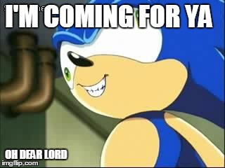 Derp sonic | I'M COMING FOR YA OH DEAR LORD | image tagged in derp sonic | made w/ Imgflip meme maker
