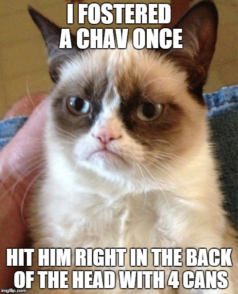 Grumpy Cat | I FOSTERED A CHAV ONCE HIT HIM RIGHT IN THE BACK OF THE HEAD WITH 4 CANS | image tagged in memes,grumpy cat | made w/ Imgflip meme maker