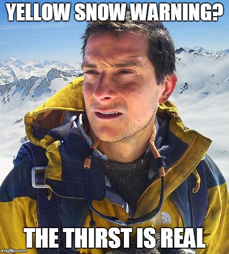 Bear Grylls Meme | YELLOW SNOW WARNING? THE THIRST IS REAL | image tagged in memes,bear grylls | made w/ Imgflip meme maker