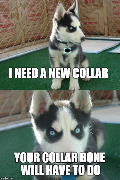 Insanity Puppy | I NEED A NEW COLLAR YOUR COLLAR BONE WILL HAVE TO DO | image tagged in memes,insanity puppy | made w/ Imgflip meme maker