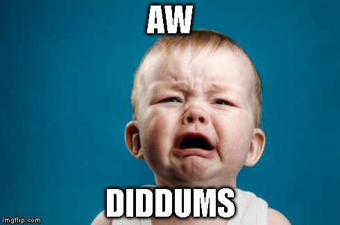 CRYING BABY | AW DIDDUMS | image tagged in crying baby | made w/ Imgflip meme maker