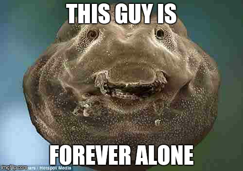 THIS GUY IS FOREVER ALONE | image tagged in forever alone | made w/ Imgflip meme maker