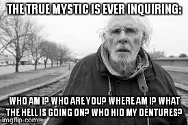 THE TRUE MYSTIC IS EVER INQUIRING: WHO AM I? WHO ARE YOU? WHERE AM I? WHAT THE HELL IS GOING ON? WHO HID MY DENTURES? | image tagged in old man,cool old man,grumpy old men | made w/ Imgflip meme maker