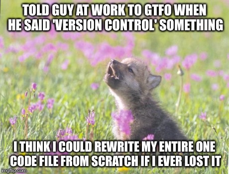 Baby Insanity Wolf Meme | TOLD GUY AT WORK TO GTFO WHEN HE SAID 'VERSION CONTROL' SOMETHING I THINK I COULD REWRITE MY ENTIRE ONE CODE FILE FROM SCRATCH IF I EVER LOS | image tagged in memes,baby insanity wolf,ProgrammerHumor | made w/ Imgflip meme maker
