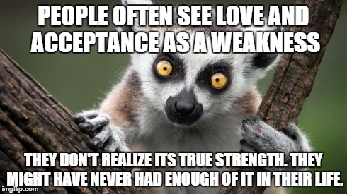 Love is maturity of the soul. Someone can express love, but still be a great fighter, but why fight? | PEOPLE OFTEN SEE LOVE AND ACCEPTANCE AS A WEAKNESS THEY DON'T REALIZE ITS TRUE STRENGTH. THEY MIGHT HAVE NEVER HAD ENOUGH OF IT IN THEIR LIF | image tagged in above static lemur | made w/ Imgflip meme maker