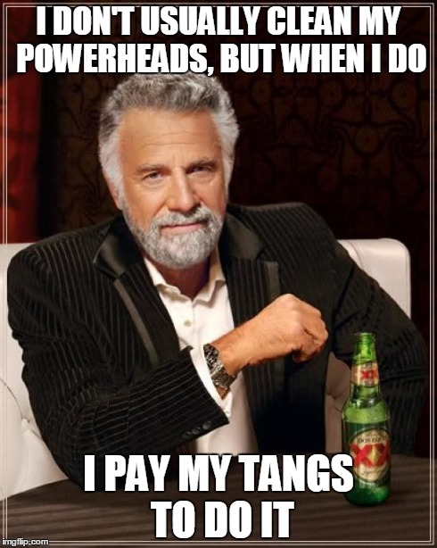 The Most Interesting Man In The World Meme | I DON'T USUALLY CLEAN MY POWERHEADS, BUT WHEN I DO I PAY MY TANGS TO DO IT | image tagged in memes,the most interesting man in the world | made w/ Imgflip meme maker