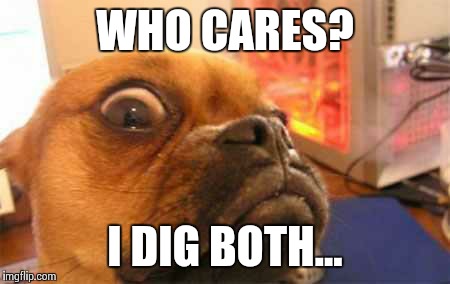 WUT | WHO CARES? I DIG BOTH... | image tagged in wut | made w/ Imgflip meme maker