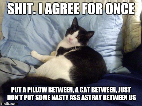 Mine | SHIT. I AGREE FOR ONCE PUT A PILLOW BETWEEN, A CAT BETWEEN, JUST DON'T PUT SOME NASTY ASS ASTRAY BETWEEN US | image tagged in mine | made w/ Imgflip meme maker