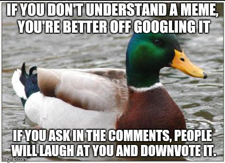 Actual Advice Mallard Meme | IF YOU DON'T UNDERSTAND A MEME, YOU'RE BETTER OFF GOOGLING IT IF YOU ASK IN THE COMMENTS, PEOPLE WILL LAUGH AT YOU AND DOWNVOTE IT. | image tagged in memes,actual advice mallard | made w/ Imgflip meme maker