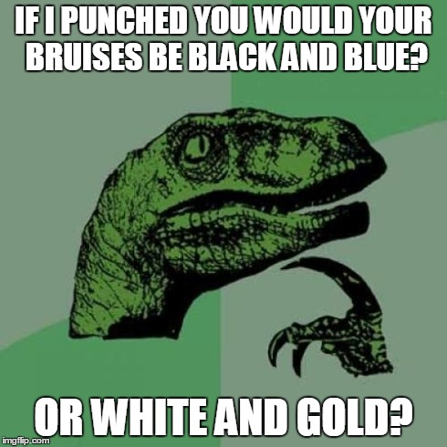 Philosoraptor | IF I PUNCHED YOU WOULD YOUR BRUISES BE BLACK AND BLUE? OR WHITE AND GOLD? | image tagged in memes,philosoraptor | made w/ Imgflip meme maker