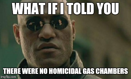 Matrix Morpheus Meme | WHAT IF I TOLD YOU THERE WERE NO HOMICIDAL GAS CHAMBERS | image tagged in memes,matrix morpheus | made w/ Imgflip meme maker