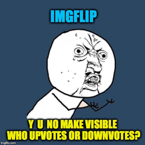 Y U No | IMGFLIP Y  U  NO MAKE VISIBLE WHO UPVOTES OR DOWNVOTES? | image tagged in memes,y u no | made w/ Imgflip meme maker