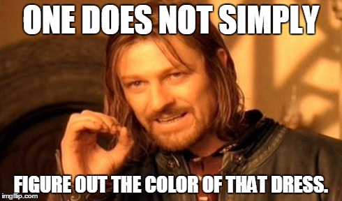 One Does Not Simply Meme | ONE DOES NOT SIMPLY FIGURE OUT THE COLOR OF THAT DRESS. | image tagged in memes,one does not simply | made w/ Imgflip meme maker