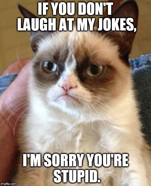 Grumpy Cat | IF YOU DON'T LAUGH AT MY JOKES, I'M SORRY YOU'RE STUPID. | image tagged in memes,grumpy cat | made w/ Imgflip meme maker