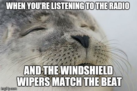 Satisfied Seal | WHEN YOU'RE LISTENING TO THE RADIO AND THE WINDSHIELD WIPERS MATCH THE BEAT | image tagged in memes,satisfied seal | made w/ Imgflip meme maker