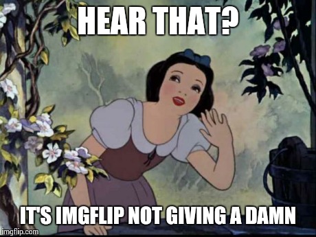 MUSIC TO MY EARS | HEAR THAT? IT'S IMGFLIP NOT GIVING A DAMN | image tagged in music to my ears | made w/ Imgflip meme maker