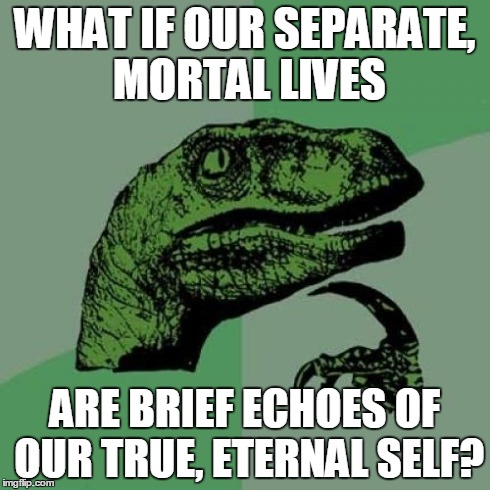 Philosoraptor Meme | WHAT IF OUR SEPARATE, MORTAL LIVES ARE BRIEF ECHOES OF OUR TRUE, ETERNAL SELF? | image tagged in memes,philosoraptor | made w/ Imgflip meme maker
