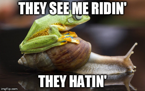 Slick Ride | THEY SEE ME RIDIN' THEY HATIN' | image tagged in frog,snails pace | made w/ Imgflip meme maker
