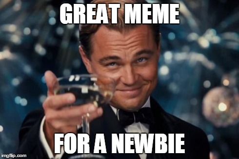 Leonardo Dicaprio Cheers Meme | GREAT MEME FOR A NEWBIE | image tagged in memes,leonardo dicaprio cheers | made w/ Imgflip meme maker