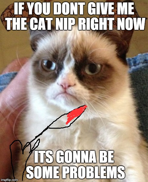 Grumpy Cat Meme | IF YOU DONT GIVE ME THE CAT NIP RIGHT NOW ITS GONNA BE SOME PROBLEMS | image tagged in memes,grumpy cat,scumbag | made w/ Imgflip meme maker
