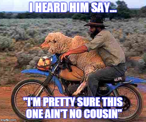 Doodum's Date | I HEARD HIM SAY... "I'M PRETTY SURE THIS ONE AIN'T NO COUSIN" | image tagged in sheep,rednecks,funny memes,humor,motorcycle,ride | made w/ Imgflip meme maker